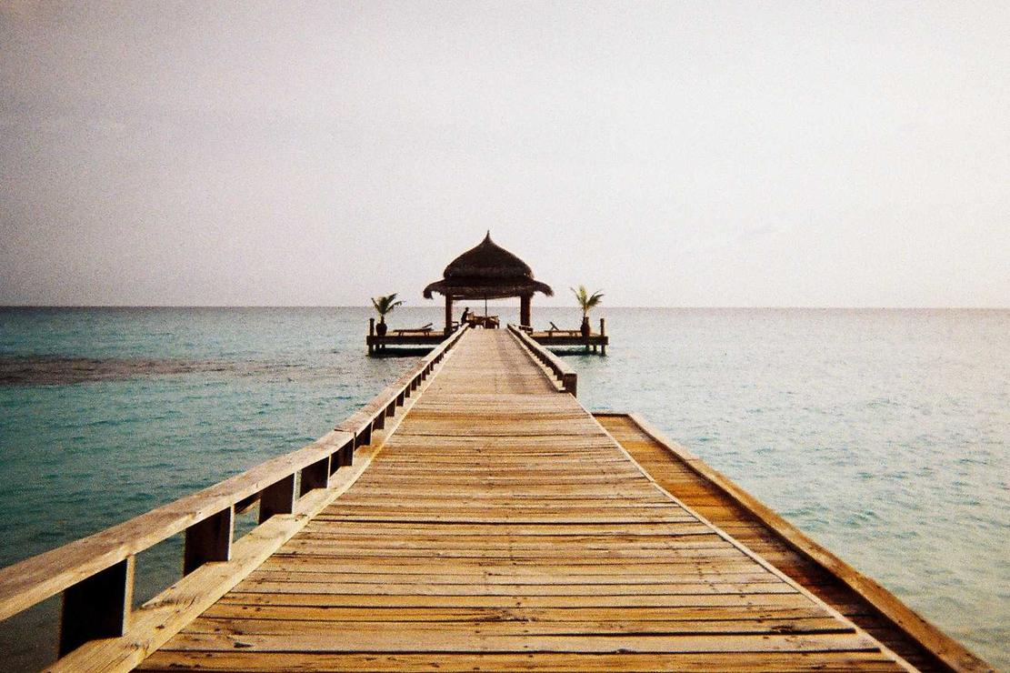 Magni id dolor omnis