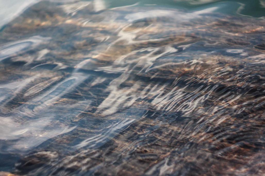 Beatae minus in dolor maxime assumenda