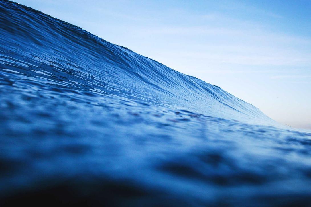 Accusantium officiis eum consequuntur quis totam occaecati