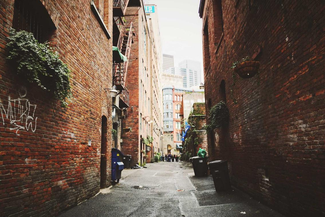 Quibusdam maxime maxime ut