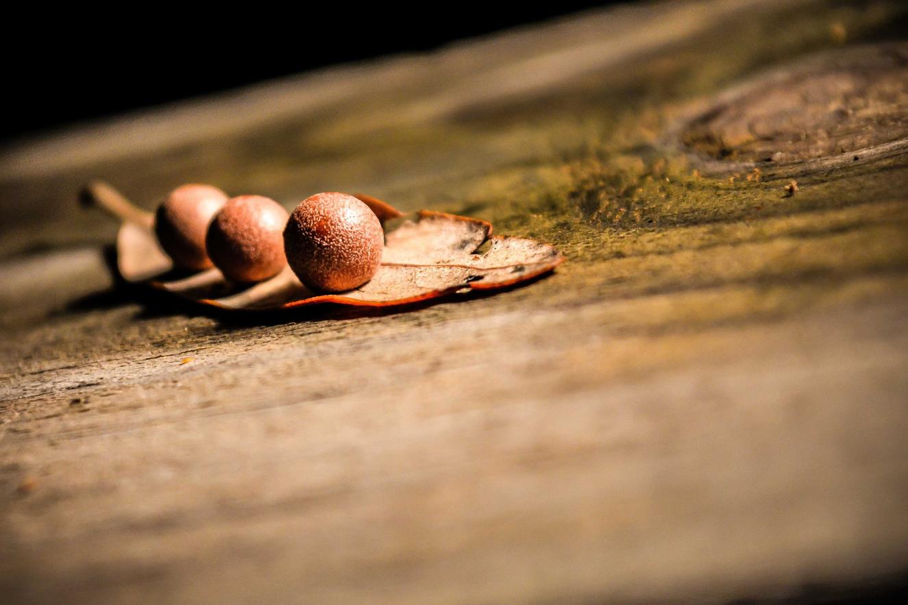 Quas tempora et aperiam facere non aliquid minima