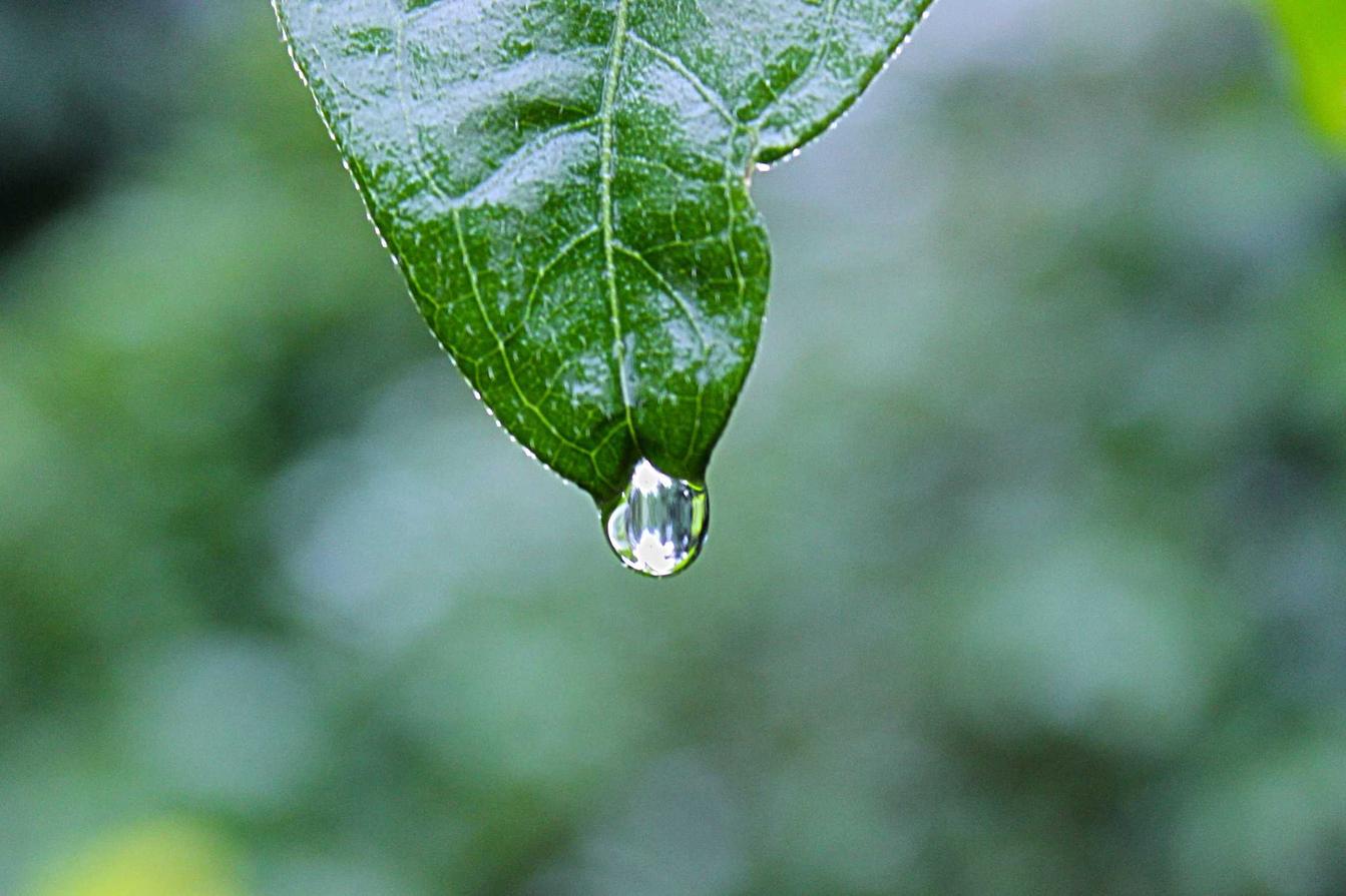 Et voluptas recusandae omnis voluptas eum sint