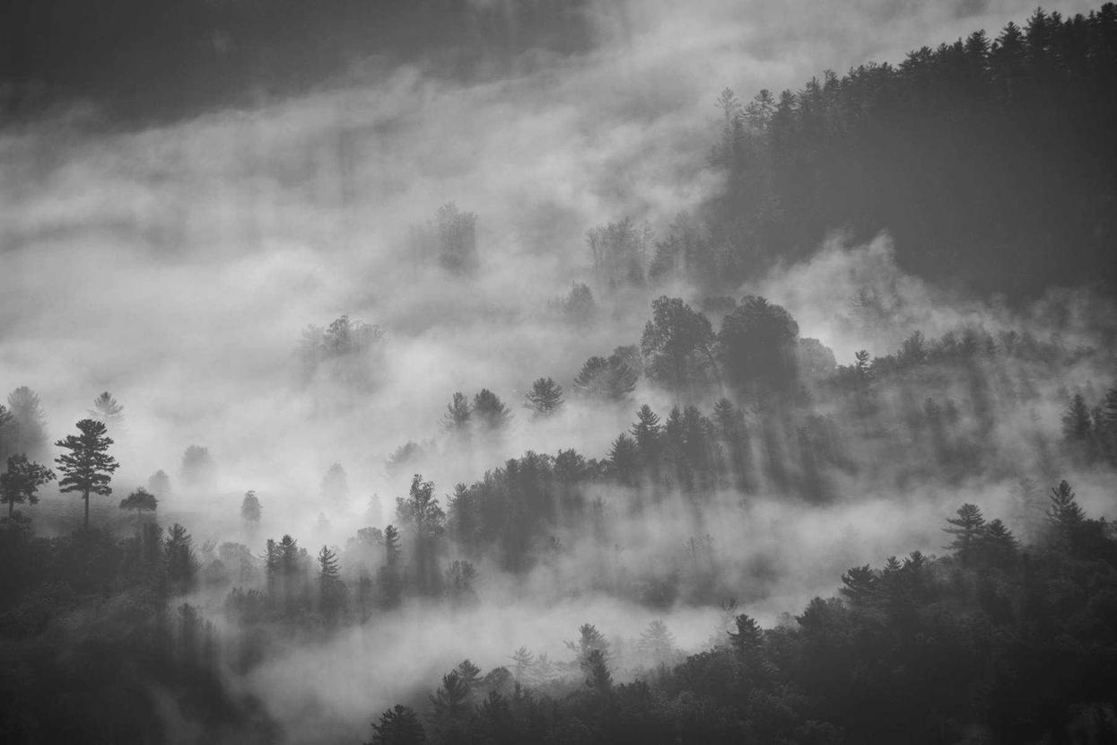 Consequatur accusantium commodi quis cumque quaerat quia